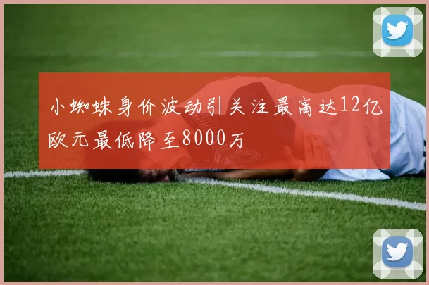 小蜘蛛身价波动引关注最高达12亿欧元最低降至8000万